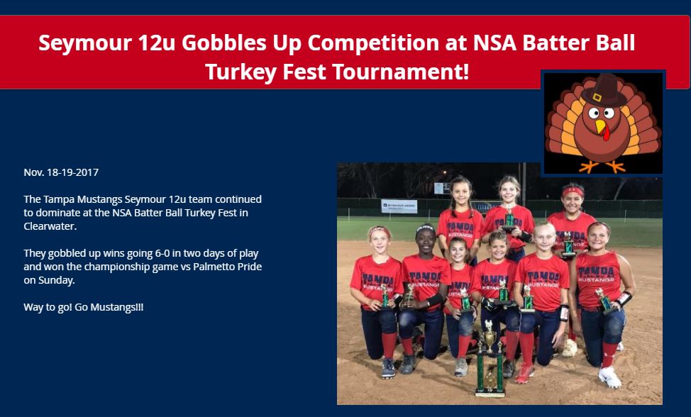 Seymour 12u Gobbles up Competition at NSA BatterBall...
